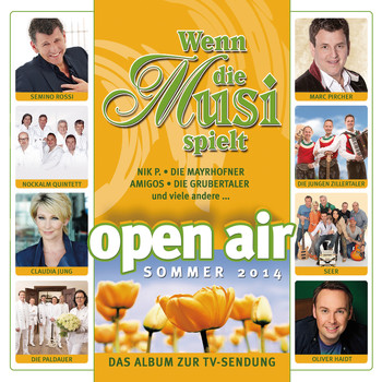 Various Artists - Wenn die Musi spielt - Sommer Open Air 2014