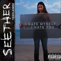 Seether - Disclaimer (Explicit)