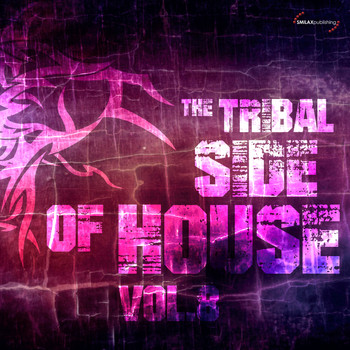 Various Artists - The Tribal Side of House Vol. 8