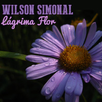 Wilson Simonal - Lágrima Flor