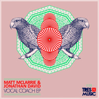 Matt McLarrie & Jonathan David - Vocal Coach