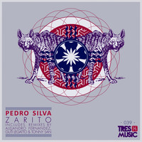 Pedro Silva - Zarito