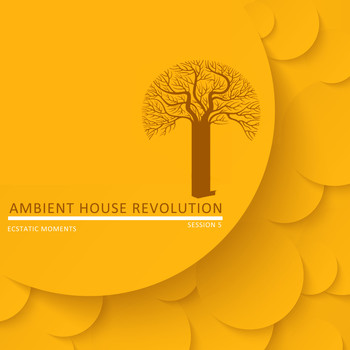 Various Artists - Ambient House Revolution, Session 5 - Ecstatic Moments
