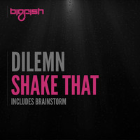 Dilemn - Shake That