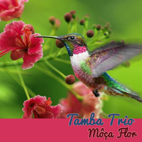 Tamba Trio - Môça Flor