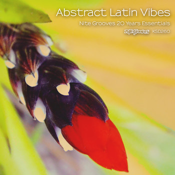 Various Artists - Abstract Latin Vibes (Nite Grooves 20 Years Essentials)
