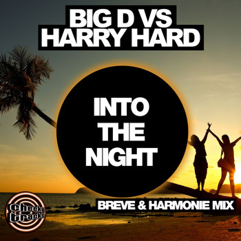 Big D vs Harry Hard - Into The Night (Breve & Harmonie Remix)