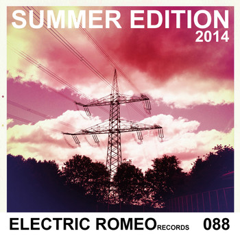 Various Artists - Summer Edition 2014