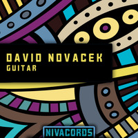 David Novacek - Guitar