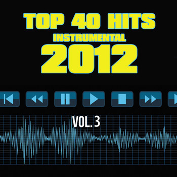 Top 40 Hits - Top 40 Hits Instrumental 2012, Vol. 3 (Explicit)