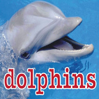 DOLPHINS - Dolphin Sounds