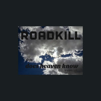Roadkill - Does Heaven Know - Single