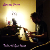 Strange Voices - Take All You Want - Single