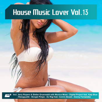 Various Artists - House Music Lover, Vol. 13