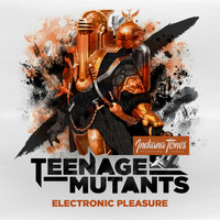 Teenage Mutants - Electronic Pleasure