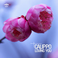 Calippo - Loving You