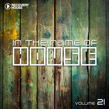 Various Artists - In the Name of House, Vol. 21