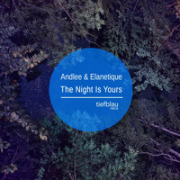 Andlee, Elanetique - The Night Is Yours