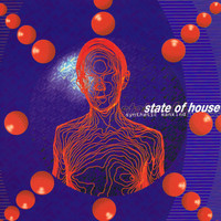 State Of House - Synthetic Mankind