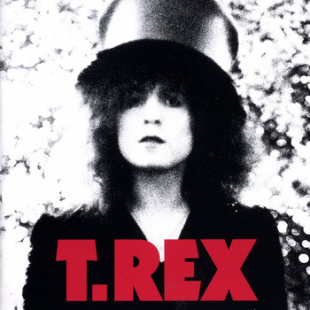 T.Rex - The Slider