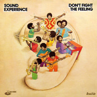 Sound Experience - Don't Fight The Feeling
