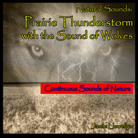 Jamie Llewellyn - Natural Sounds: Prairie Thunderstorm with the Sound of Wolves
