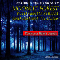 Jamie Llewellyn - Nature Sounds for Sleep: Moonlit Forest with Gentle Stream and Distant Thunder