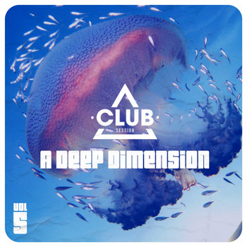 Various Artists - A Deep Dimension Vol. 5