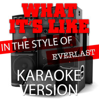 Ameritz Audio Karaoke - What It's Like (In the Style of Everlast) [Karaoke Version] - Single