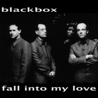Black Box - Fall into My Love