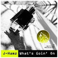 J-Hamz - What's Goin' On
