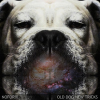 Noforix - Old Dog New Tricks