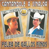 El Autentico De Sinaloa - Cantandole a Sinaloa