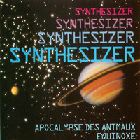 The Melody Flowers - Synthesizer