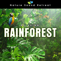 Nature Sound Retreat - Relaxing Rainforest for Meditation & Relaxation
