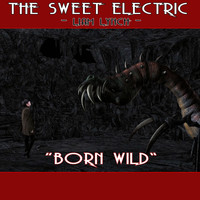 Liam Lynch - The Sweet Electric - Born Wild
