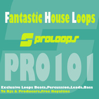 South Killah - Fantastic House Loops
