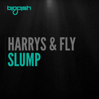 Harrys & Fly - Slump
