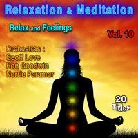 Geoff Love Orchestra - Relaxation & Meditation Vol. 10: Relax and Feelings