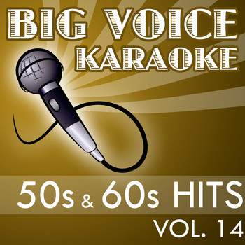 Big Voice Karaoke - Karaoke 50s & 60s Hits - Backing Tracks for Singers, Vol. 14