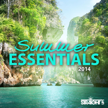 Various Artists - Summer Essentials 2014