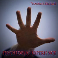 Vladimir Sterzer - Psychedelic Experience