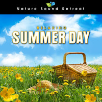 Nature Sound Retreat - Relaxing Summer Day by a Meadow Stream with Birds and Wildlife Sounds