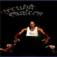 Trouble Waters - Such Is Life - Single