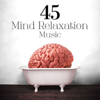 Giacomo Puccini - 45 Mind Relaxation Music