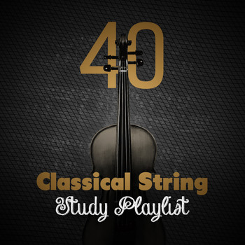 Ludwig van Beethoven - 40 Classical String Study Playlist