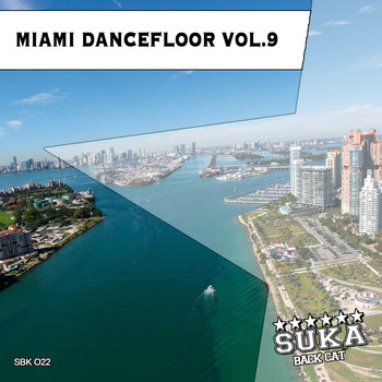 Various Artists - Miami Dancefloor, Vol. 9
