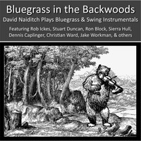 David Naiditch - Bluegrass in the Backwoods