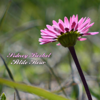 Sidney Bechet - Petite fleur
