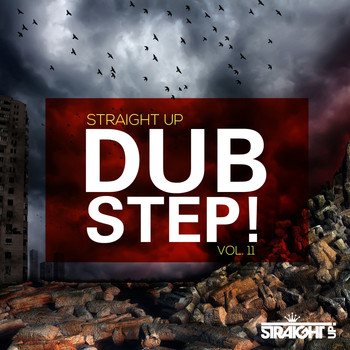 Various Artists - Straight Up Dubstep! Vol. 11